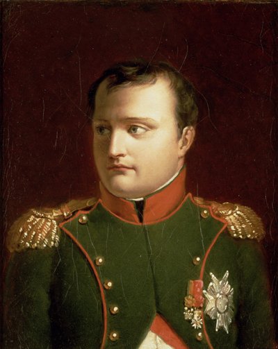 Napoleon Bonaparte (1769-1821) von Jacques Louis David